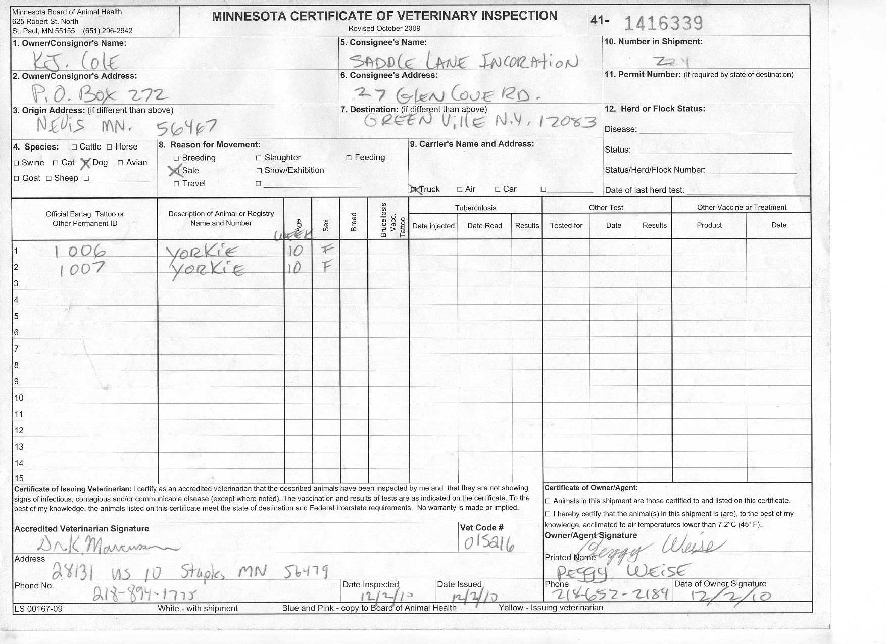 17 pdf health certificate form 42 printable hd docx download zip